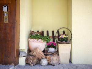a porch with two potted plants and a fence at Apartment Neugasteig-1 by Interhome in Neustift im Stubaital