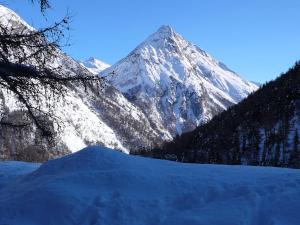 a snow covered mountain in the middle of a forest at Apartment Amici-2 by Interhome in Saas-Grund
