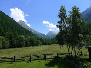 Ein Zaun auf einem Feld mit einem Baum und Bergen in der Unterkunft Apartment Amici-2 by Interhome in Saas-Grund