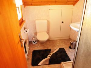 a small bathroom with a toilet and a sink at Apartment Panoramablick by Interhome in Haslen