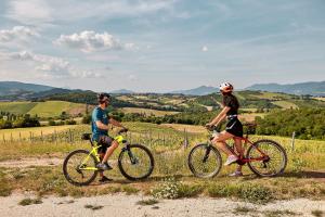 zwei Leute, die auf einem Hügel Fahrrad fahren in der Unterkunft Tenuta Grimaldi Wine Resort in Matelica