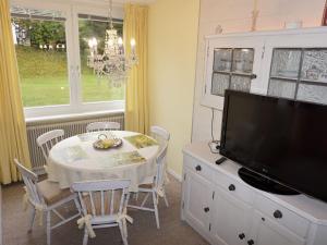 TV a/nebo společenská místnost v ubytování Apartment Alpenland-18 by Interhome