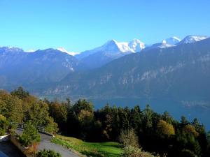 SundlauenenにあるApartment Berg-Seeblick by Interhomeの山々を背景にした湖の景色