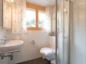 Koupelna v ubytování Apartment Silberhorn Apt- DW by Interhome