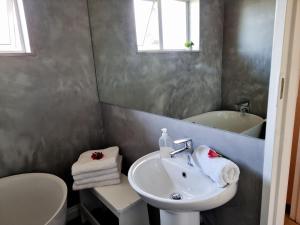 a bathroom with a sink and a toilet and a mirror at Groenhuisie in Oyster Bay