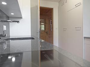 ヴェンゲンにあるApartment Drei Tannen by Interhomeの花崗岩のカウンタートップとドアのあるキッチン +21枚の写真