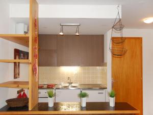 a kitchen with a sink and a counter with potted plants at Apartment Beau-Séjour 24 by Interhome in Nendaz