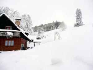 Το Apartment Janová by Interhome τον χειμώνα