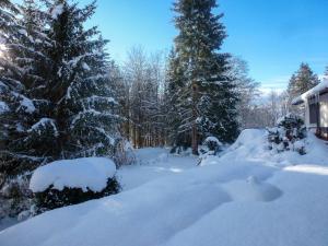 a yard covered in snow with two snow covered trees at Holiday Home Zum munteren Eichhörnchen in Dittishausen