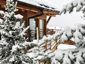 eine Hütte mit einem schneebedeckten Baum davor in der Unterkunft Chalet Sebas by Interhome in Nendaz