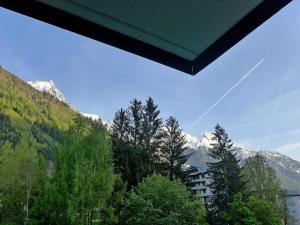 vistas a una montaña con árboles y a un edificio en Apartment Le Triolet-5 by Interhome, en Chamonix-Mont-Blanc