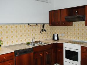 una cucina con armadi in legno e lavandino di Apartment Casa Zappa by Interhome a Brusino Arsizio
