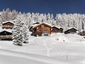 リーダーアルプにあるApartment Amiel Parterre by Interhomeの雪山スキー場
