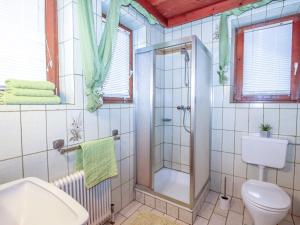 Vannituba majutusasutuses Apartment Tyrol-1 by Interhome