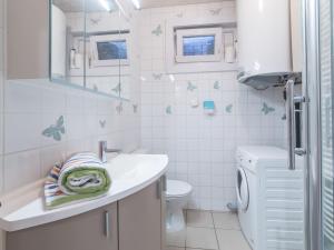a bathroom with a sink and a toilet at Apartment Maria Ter Duyne II by Interhome in Mispelburg