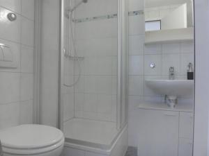 ヴェンゲンにあるApartment Lauber-2 by Interhomeのバスルーム(シャワー、トイレ、シンク付)