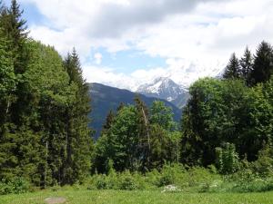 a field with trees and mountains in the background at Studio Le Taguy by Interhome in Mémontel