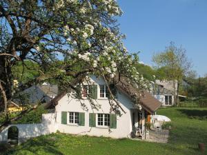 uma casa branca com persianas verdes e uma árvore em B&B Sigrid Braun-Budde em Bettingen