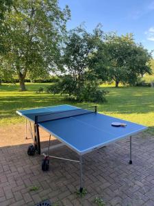 een blauwe tafeltennistafel in een park bij Magnifique villa piscine dans un écrin de verdure in Eckbolsheim