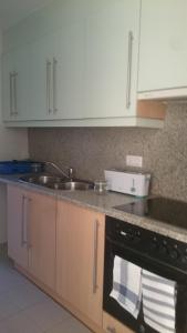 a kitchen with white cabinets and a sink and a stove at Pis Firalet - Olot in Olot