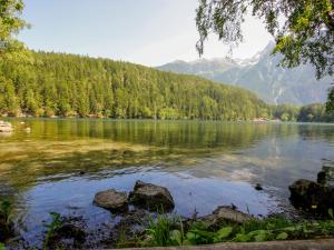 Príroda v okolí apartmánu