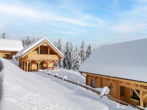 Chalet Hütte Buchfink by Interhome v zimě