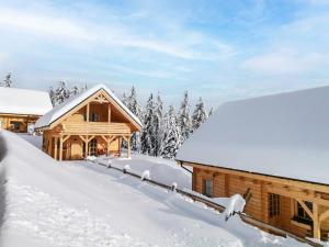 Chalet Hütte Gimpel by Interhome að vetri til