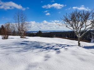 Gallery image of Apartment Winterhalder by Interhome in Eisenbach