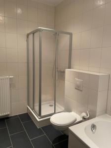 een badkamer met een douche, een toilet en een wastafel bij Schöne Zweiraumwohnung im Zentrum in Aue