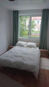 1 cama en un dormitorio con ventana grande en Comoara Hășmașului, en Bălan