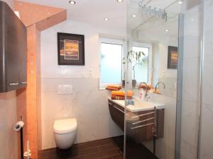 a bathroom with a toilet and a sink and a shower at Apartment Evelyne by Interhome in Zirl