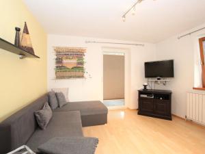 Televízia a/alebo spoločenská miestnosť v ubytovaní Apartment Evelyne by Interhome