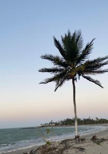 Bild i bildgalleri på SRBG Casa em Barra Grande-PI i Barra Grande