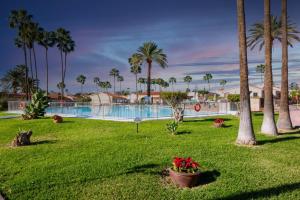 ein Resort mit einem Pool und Palmen in der Unterkunft Bungalow Santa Fe en centro de Playa del Inglés in Maspalomas