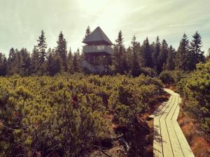 Zahrada ubytování Rogla - Apartma ROŽLE