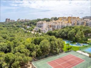 Tenis alebo squash v ubytovaní Altos de Campoamor alebo jeho okolí