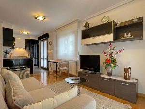 a living room with a couch and a tv at Apartamento Baztán in Elizondo