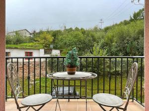 a table with two chairs and a potted plant on a balcony at Apartamento Baztán in Elizondo