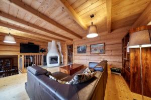 a living room with a couch and a fireplace in a cabin at Willa Pod Ściętą Lipą in Ząb