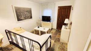 Cette petite chambre comprend un lit et une télévision. dans l'établissement Victoria & Olivar, à Malaga