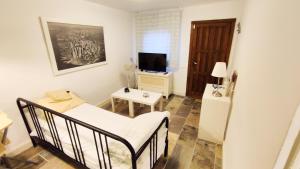 a small room with a bed and a television at Victoria & Olivar in Málaga