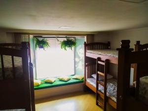 a bedroom with two bunk beds and a window at Social Hostel Café e Bar in Curitiba
