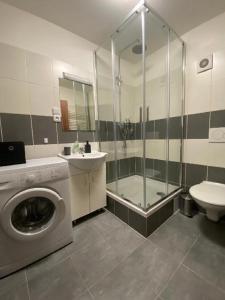 Kúpeľňa v ubytovaní Černý Tulipán - Apartmán 1