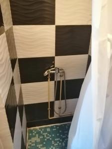 a bathroom with a shower with a checkered wall at Ski Bagnères-de-Luchon in Luchon