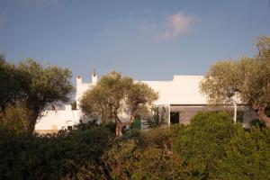 Gallery image of Agriturismo La Civetta in Gioia del Colle