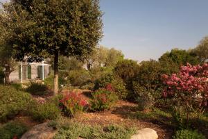 Gallery image of Agriturismo La Civetta in Gioia del Colle +20 photos