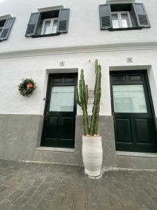 a cactus in a pot in front of a house at Ca na Kika in Es Migjorn Gran