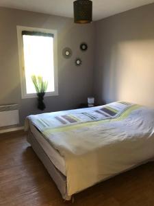 a large bed in a bedroom with a window at La Pommeraie in Ouzouer-sur-Loire