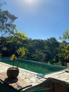 une plante en pot assise au-dessus d'une terrasse à côté d'une piscine dans l'établissement Recanto da Ferradura, à Búzios