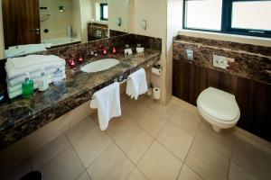 a bathroom with a sink and a toilet at Glashaus Hotel in Tallaght